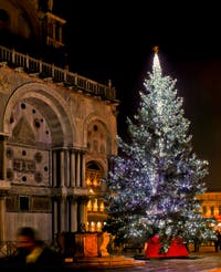 Venice Christmas Tree in Saint-Mark Square.