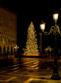 Merry Christmas! Venice Christmas Tree in front of the Doge's Palace