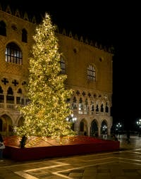 Venice Christmas Tree in front of the Doge's Palace