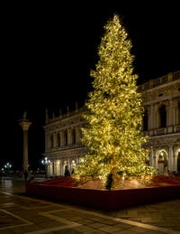 Venice Christmas Tree in front of the Marciana Library