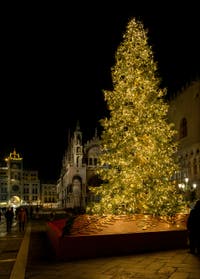 Happy New Year from Venice!
The Venice Christmas Tree in front of St. Mark's Basilica