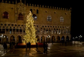 Venice Christmas Tree in front of the Doge's Palace