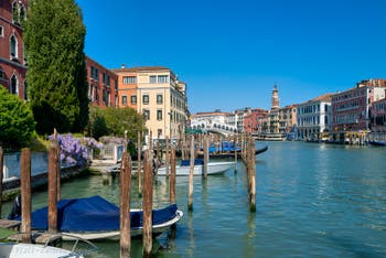 Wisteria on Venice Grand Canal.