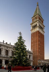 Saint-Mark Bell Tower and Venice Christmas tree.