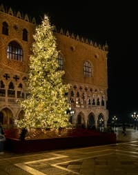 Christmas tree in Saint Mark's Square in front of the Doge's Palace in Venice