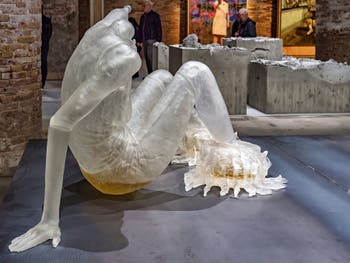 Andra Ursuta, Predators 'R Us, Venice Art Biennale
