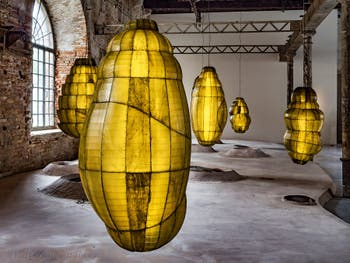 Anicka Yi, Biologizing the Machine - Tentacular Trouble, Biennale Art Venice