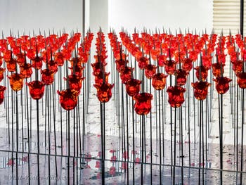 Renate Bertlmann, Field of Roses, Discordo Ergo Sum, Venice Art Biennale