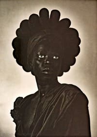 Zanele Muholi, Ntozakhe II