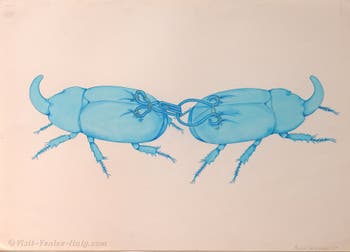 Birgit Jürgenssen, Coconut Crab Fight, Venice Biennale International Art Exhibition