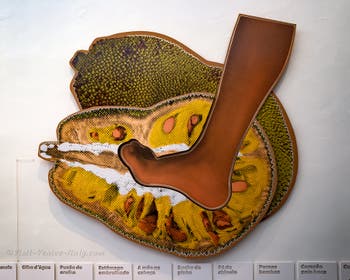 Jonathas de Andrade, Foot on a Jackfruit, Venice Biennale International Art Exhibition