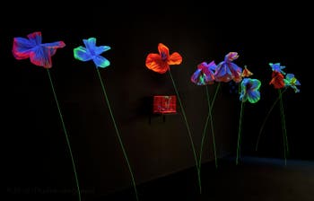 Tetsumi Kudo, Flowers from Garden of the Metamorphosis in the Space Capsule, Venice Biennale International Art Exhibition
