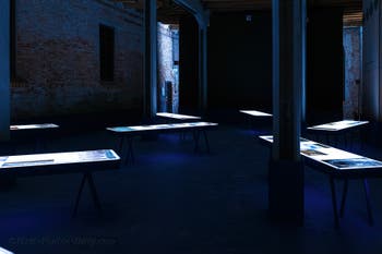 Argentina, El Futuro del Agua, Venice International Architecture Biennale