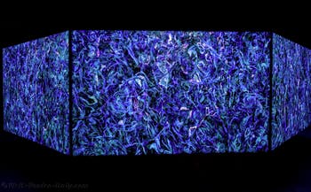 Khaled Sabsabi, Conference of one's self, Australia, Venice Biennale 2026