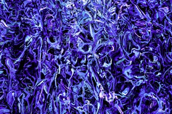 Khaled Sabsabi, Conference of one's self, Australia, Venice Biennale 2026