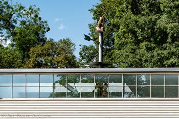 Florentina Holzinger, Seaworld Venice, Austria, Venice Biennale 2026