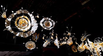 Ranjani Shettar, Under the same sky, Indian Pavilion, Venice Biennale 2026