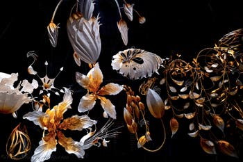 Ranjani Shettar, Under the same sky, Indian Pavilion, Venice Biennale 2026