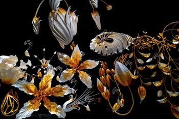 Ranjani Shettar, Under the same sky, Indian Pavilion, Venice Biennale 2026