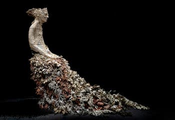Chiara Camoni, Con te con tutto, Italy, Venice Biennale 2026