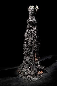 Chiara Camoni, Con te con tutto, Italy, Venice Biennale 2026