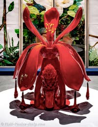Maria Magdalena Campos-Pons, Central Pavilion of the Giardini, Venice Biennale 2026