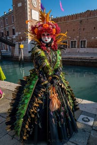 Venetian Carnival Masks and Costumes, Feather Beauties at the Arsenal.