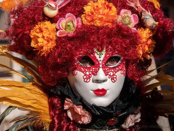 Venetian Carnival Masks and Costumes, Feather Beauties at the Arsenal.