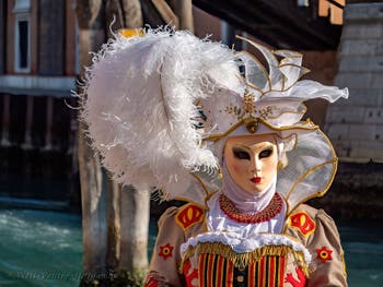Masks and Costumes at the Venice Carnival, The Princess of the Lions with her orange at the Arsenal.