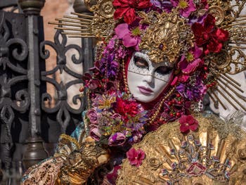 Masks and Costumes at the Venice Carnival, The Golden Princess at the Arsenal.