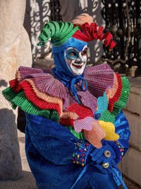 Venetian Carnival Masks and Costumes, The Rainbow King's Madman at the Arsenal.