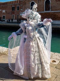 Venetian Carnival Masks and Costumes, The Bird Fairy at the Arsenal.