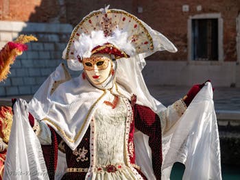 The Beauties with the vails of the Arsenal, Venetian Carnival Masks and Costumes.
