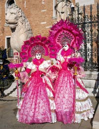 Venetian Carnival masks and costumes, the beauties in pink and feathers at the Arsenal.
