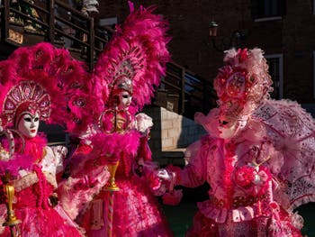 Venetian Carnival masks and costumes, the beauties in pink and feathers at the Arsenal.