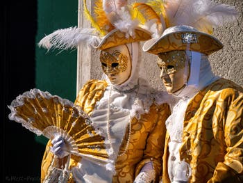 Venetian Carnival Masks and Costumes, Noble Lady with a Fan at the Arsenal.