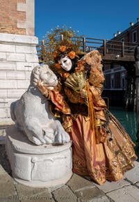 Venetian Carnival Masks and Costumes, Pretty Winged Fairy.