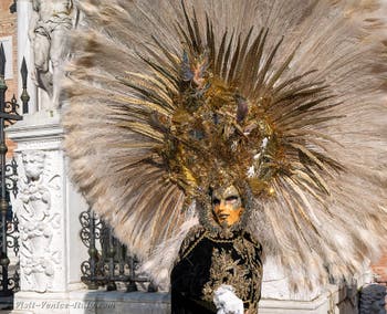 SplVenice Carnival Masks and Costumes