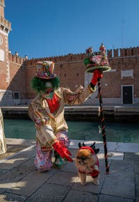 Intelligent dog and green hair at the Arsenal, the masks and costumes of the Venice Carnival.