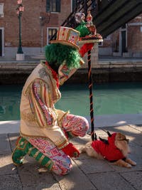 Intelligent dog and green hair at the Arsenal, the masks and costumes of the Venice Carnival.
