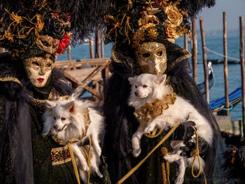Eight Little Dogs at Saint Marc, the Masks and Costumes of the Venetian Carnival