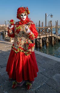 Red Flower in front of Saint Mark's Basin, the Masks and Costumes of the Venice Carnival