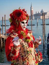 Red Flower in front of Saint Mark's Basin, the Masks and Costumes of the Venice Carnival