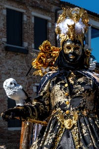 People in costume at the Venice carnival in front of the Madonna della Salute.