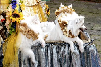 The parade of people in costume at the 2026 Venice Carnival in front of the Church of San Zaccaria.