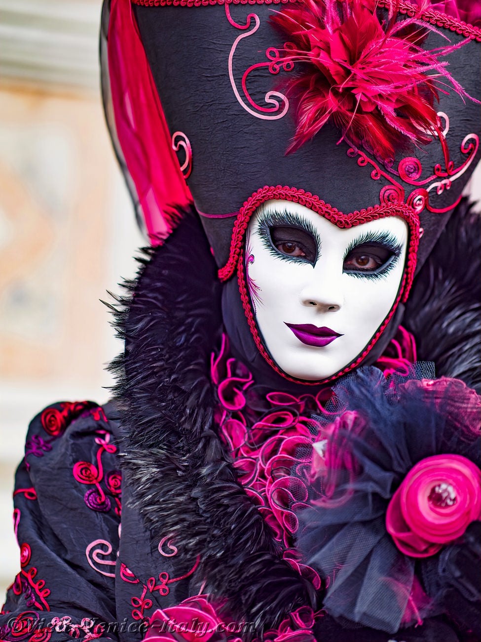 Venetian Masquerade Ball Costumes