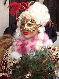Pretty Mask in the Venice carnival
