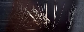 Hans Hartung, T 1962-E-15, at the Peggy Guggenheim Collection in Venice