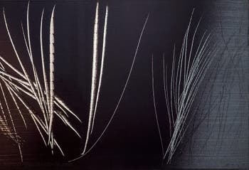 Hans Hartung, T 1962-E-15, at the Peggy Guggenheim Collection in Venice