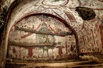 Peacock fresco, Catacombs of San Gennaro in Naples, Italy